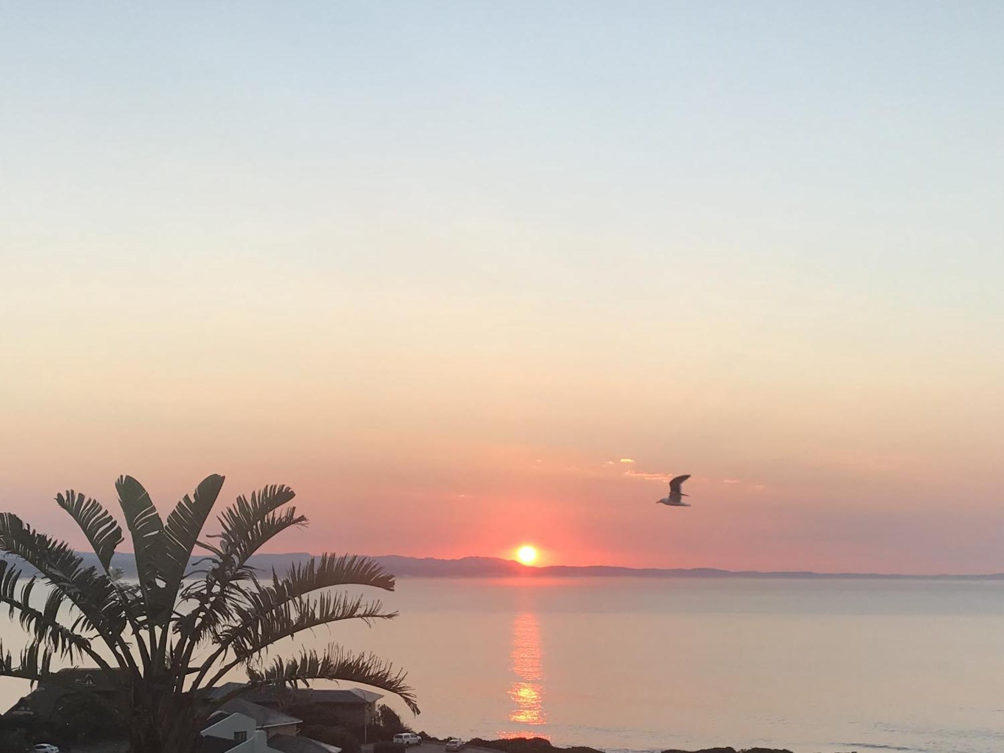 شقة Surfstar At Mimosa خليج جيفري المظهر الخارجي الصورة